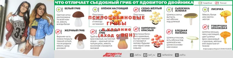 Псилоцибиновые грибы мицелий  Тольятти 